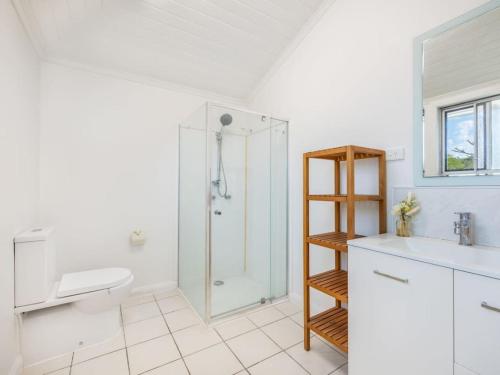 布里斯班Family friendly cozy 4BR house at Annerley的带淋浴、卫生间和盥洗盆的浴室