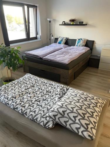 SlatinaModerní byt v Brně u BRuNA的带窗户的客房内设有两张单人床。