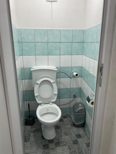 BozovecGuest House BOZVILL的一间带卫生间和垃圾桶的浴室