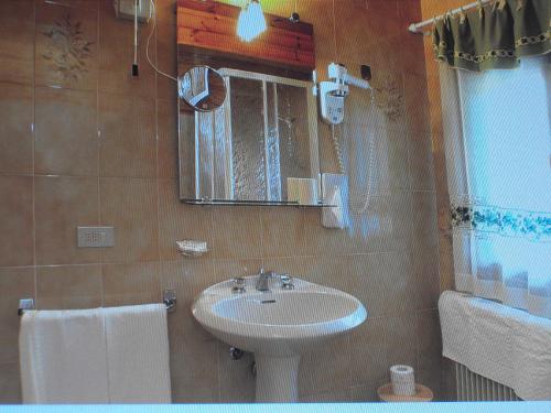 瓦尔迪佐多Garni Meublè La Baita的一间带水槽和镜子的浴室