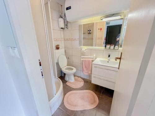 卡特兹奥布萨维Villy Holiday House Terme Čatež的一间带卫生间和水槽的小浴室