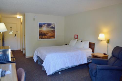 瑟莫波利斯Hot Springs Hotel & Spa的酒店客房,配有床和蓝色的沙发
