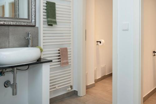 科隆B49公寓 - 城市与会展中心的一间带水槽和镜子的浴室