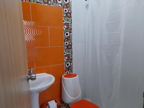 辛塞莱霍Acogedor apartamento Malala's的一间带卫生间和水槽的小浴室