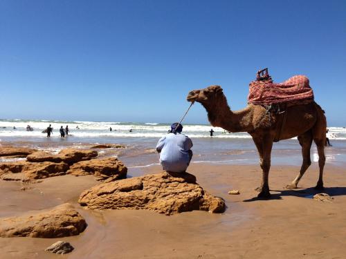 阿加迪尔Surf Lessons Experience with Hassi的坐在沙滩上骆驼上的人