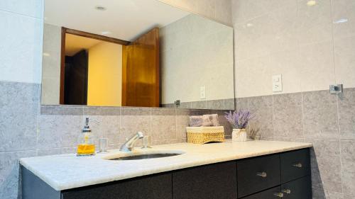 墨西哥城Allegro Polanco的一间带水槽和镜子的浴室