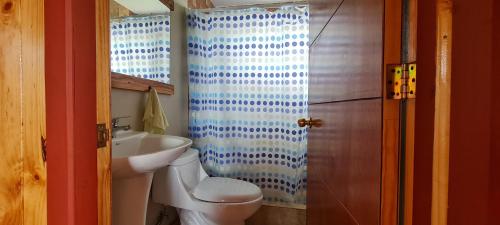 安库德Cabañas Susurros del Bosque的浴室配有白色卫生间和盥洗盆。