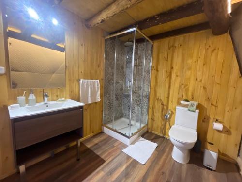 PueloAlma Andina的浴室配有卫生间、盥洗盆和淋浴。