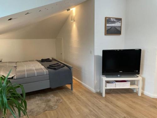 奥尔登堡Modernes Apartment in Oldenburg的一间卧室配有一张床和一台平面电视
