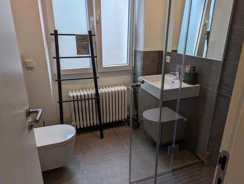卢森堡Refurbished 1BR Apartment in Limpertsberg的带淋浴、卫生间和盥洗盆的浴室