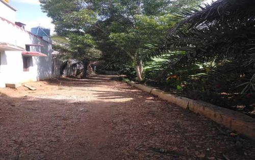 班加罗尔Mango Ville的树屋旁的土路