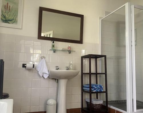 Bathurst金士顿农场旅馆的一间带水槽和镜子的浴室