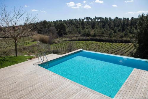 El Pla de ManlleuMasia Les Apieres的享有葡萄园景致的游泳池