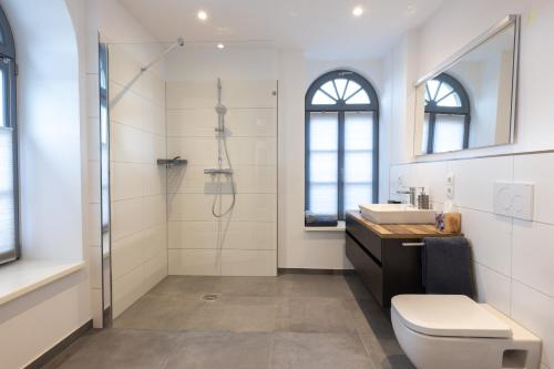 塞森Bed & Bahn Seesen的带淋浴、卫生间和盥洗盆的浴室