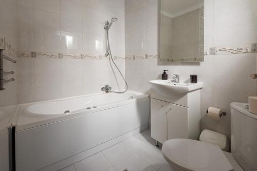 米奥修德萨斯Pensiunea Samaha的带浴缸、卫生间和盥洗盆的浴室