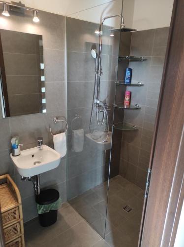 莫劳豪洛姆BarBen Apartman的带淋浴和盥洗盆的浴室