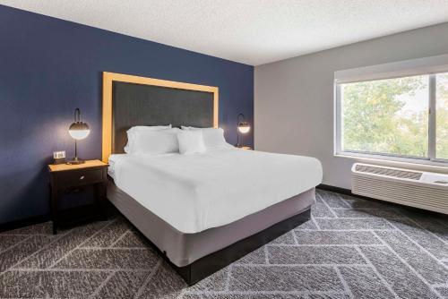 梅普尔格罗夫明尼阿波利斯枫树林坎布里亚酒店的卧室设有一张白色大床和一扇窗户。