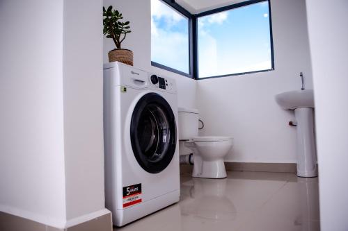 塔那那利佛Ampifitia Guest House的一间带卫生间的浴室内的洗衣机