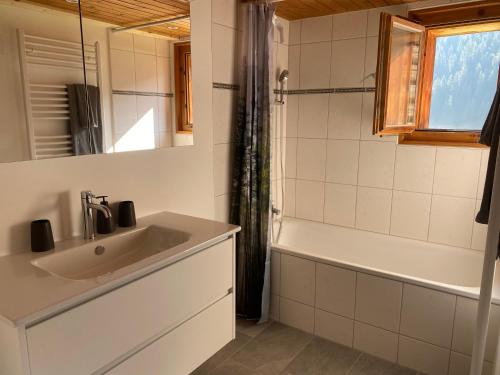 FrauenkirchIdyllisch gelegene grosszügige Ferienwohnung Chumma的浴室配有盥洗盆和浴缸。
