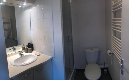 阿维尼翁Appart'Hotel - Gare TGV - Courtine - Confluence - 202的一间带水槽、卫生间和镜子的浴室