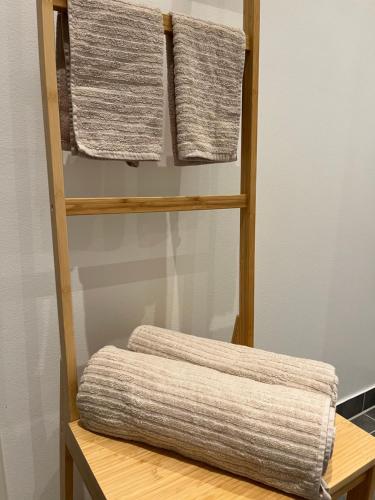 哥本哈根Copenhagen ToGo的毛巾架和三条毛巾