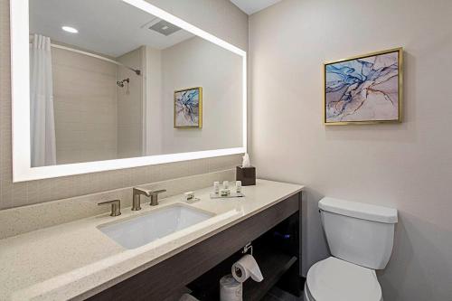 梅肯梅肯温德姆集团温盖特酒店的一间带水槽、卫生间和镜子的浴室