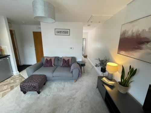班戈Compact Modern Apartment Single Person or Couple Only的带沙发和电视的客厅