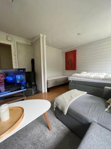 卑尔根Cosy apartment with free parking的带沙发和平面电视的客厅