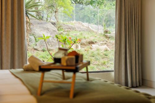 内尔斯普雷特Pumbaa Wildlife Park & Accommodation的客房设有一张桌子,享有窗户的景色