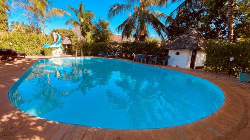 迪亚尼海滩多拉与霍利别墅的庭院里的一个蓝色的大游泳池