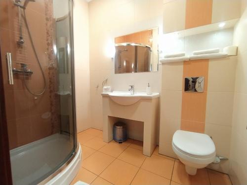 文奇察Restauracja Kargul noclegi的浴室配有卫生间、盥洗盆和淋浴。