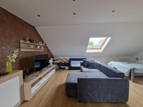 曼海姆Cheerful Roof Flat in a Private German Style House的带沙发和电视的客厅