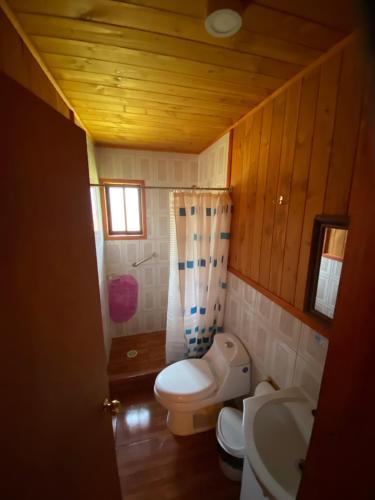 卡布尔瓜Portal Costanera Caburgua的一间带卫生间和水槽的小浴室