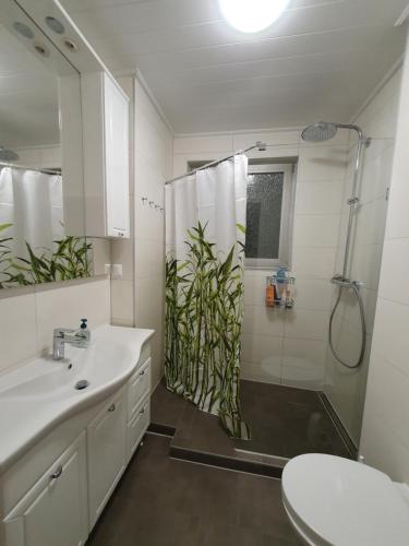 美因茨Privatzimmer im Schlesischen Viertel - nahe Uniklinik的带淋浴、盥洗盆和卫生间的浴室