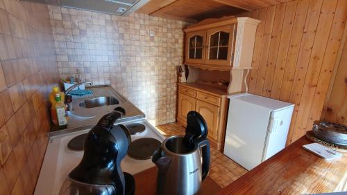 OeyAdlerhorst - Apartment im Niedersimmetal的一间带水槽和冰箱的小厨房