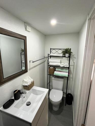 KoolbaaiJm.HouseSxm的一间带水槽、卫生间和镜子的浴室