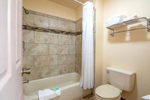 格伦伍德温泉Silver Spruce Inn的带浴缸、卫生间和淋浴的浴室。