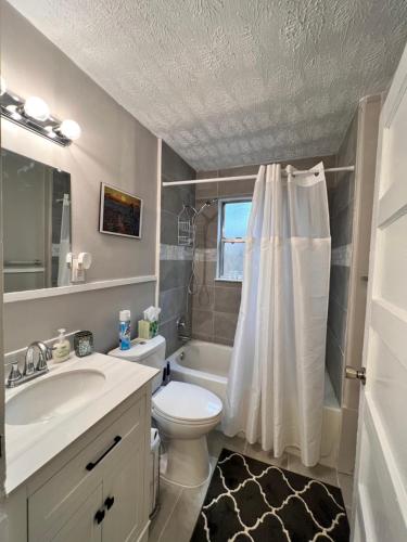 盖恩斯维尔Cozy 2BR Home Near Shands Hospital, UF, and Downtown Gainesville的一间带水槽、卫生间和淋浴的浴室