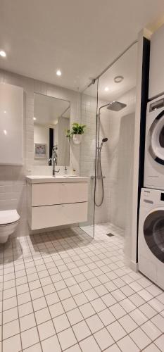 哥本哈根Modern, fully equipped flat的一间带水槽和洗衣机的浴室