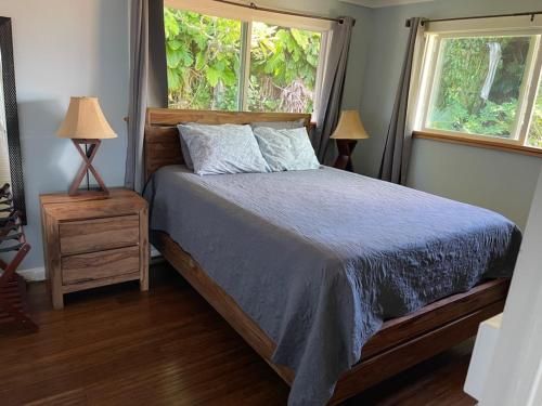 哈纳Pau Hana Paradise的一间卧室配有一张蓝色棉被和两个窗户。