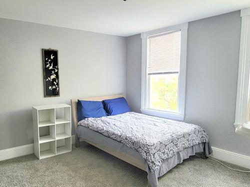 巴尔的摩Budget Bed Room near Downtown Inner Harbor w Free Parking的一间卧室配有一张带蓝色枕头的床和一扇窗户。