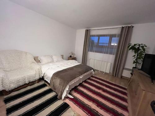 TÄƒuÅ£ii MÄƒgheruÅŸRustic house的一间卧室设有床、窗户和地毯。
