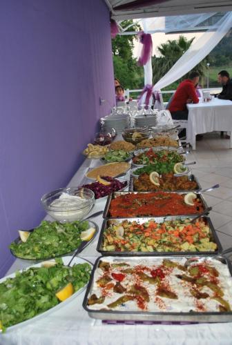 达利安Dalyan Terrace Hotel的包含多种不同食物的自助餐