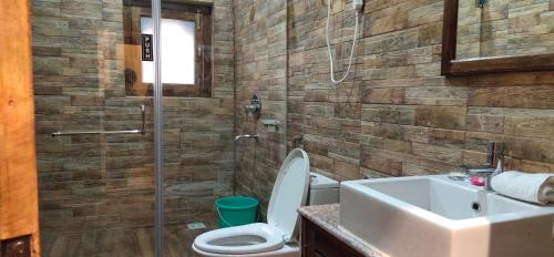 普纳卡White Dragon Hotel的浴室配有卫生间、盥洗盆和淋浴。