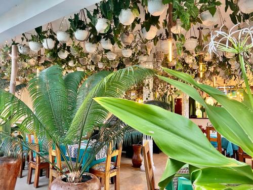 江比阿Gadea Boutique Hotel& Gadea Garden Italian Restaurant的一间有一堆盆栽植物和灯的房间