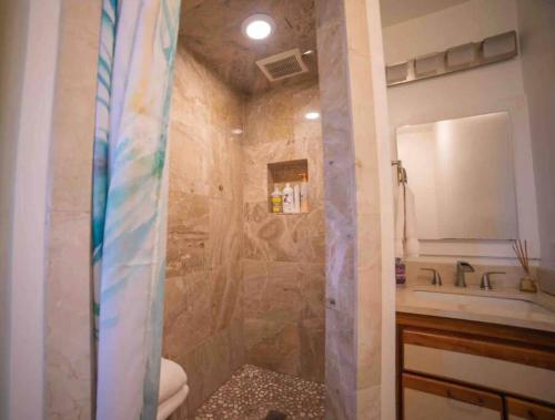 哈纳Helehele Hale的带淋浴、卫生间和盥洗盆的浴室