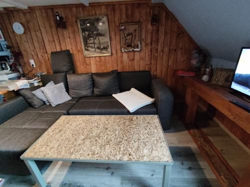 洛默Wohnung am Wanderweg zum Königsstuhl unter Reet的客厅配有沙发和桌子