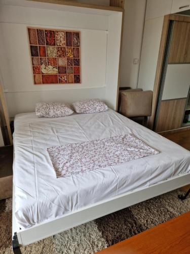 萨拉热窝Studio Apartment Ena S的卧室内的一张带两个枕头的床