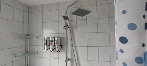 奥斯特拉赫Blu Home/Ferienwohnung的带淋浴喷头的浴室