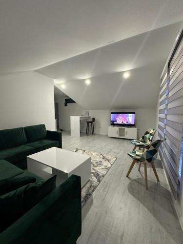 维索科Apartmani Zeleni Vrtovi的带沙发和电视的客厅